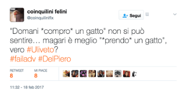 scandalo gatto uliveto