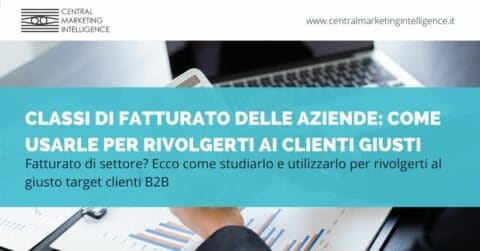 Classi di fatturato delle aziende clienti b2b