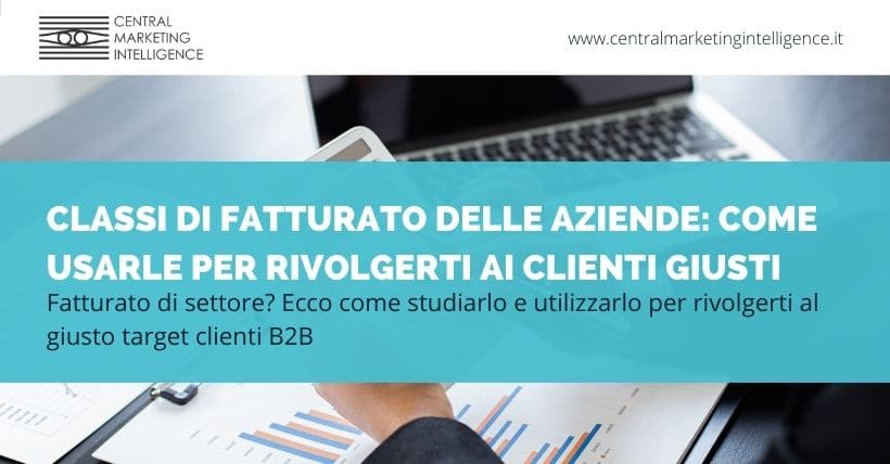 Classi di fatturato delle aziende clienti b2b