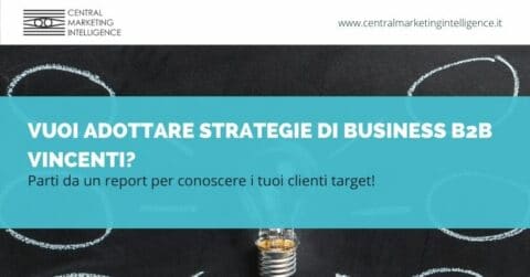strategie di business B2B