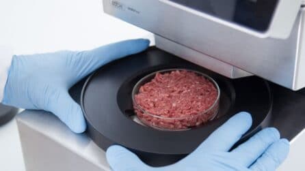 Analisi di mercato per il settore alimentare