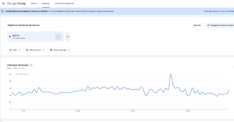 come fare ricerche di mercato con google