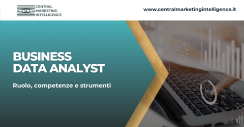 business data analyst