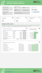 Report Company detector 1