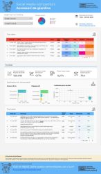 Report social media 12