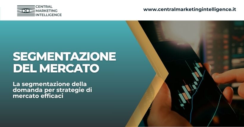 segmentazione della domanda