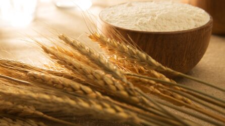 Analisi del mercato gluten free in Italia per una nuova farina